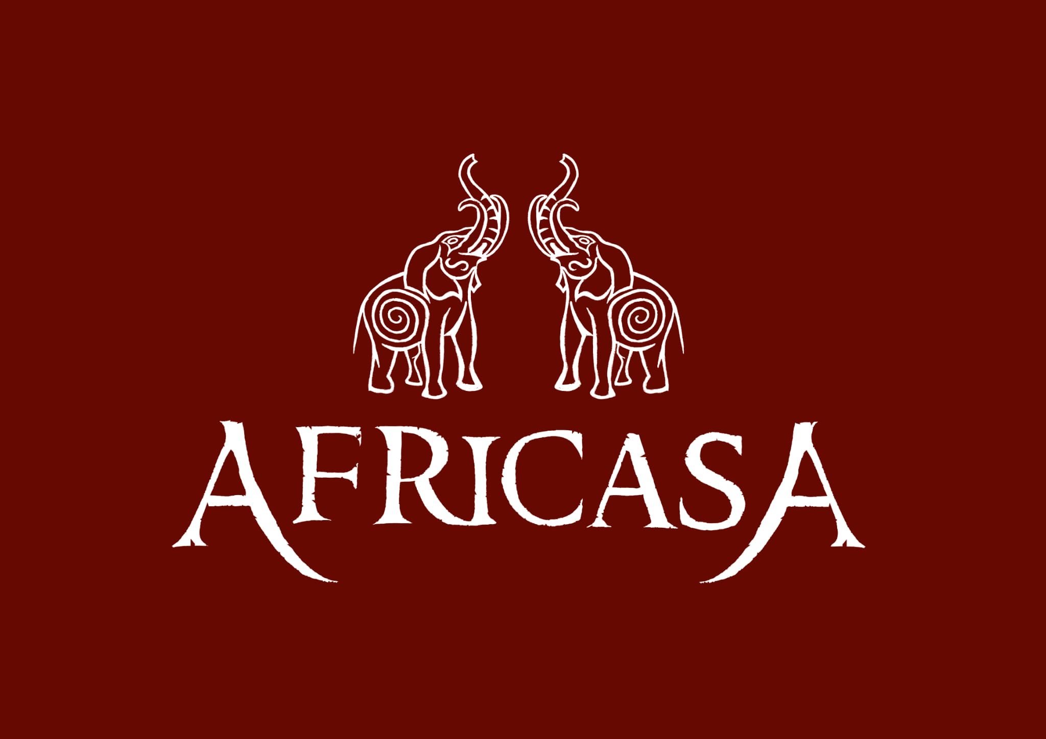 AFRISA — Partenaire FIDD 2026